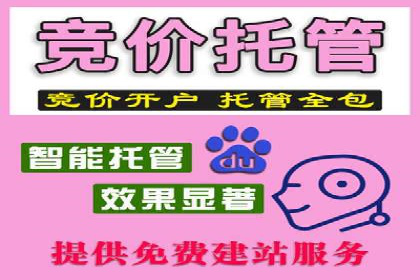 SEM专员案例：数据分析与优化